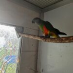IMG_9085